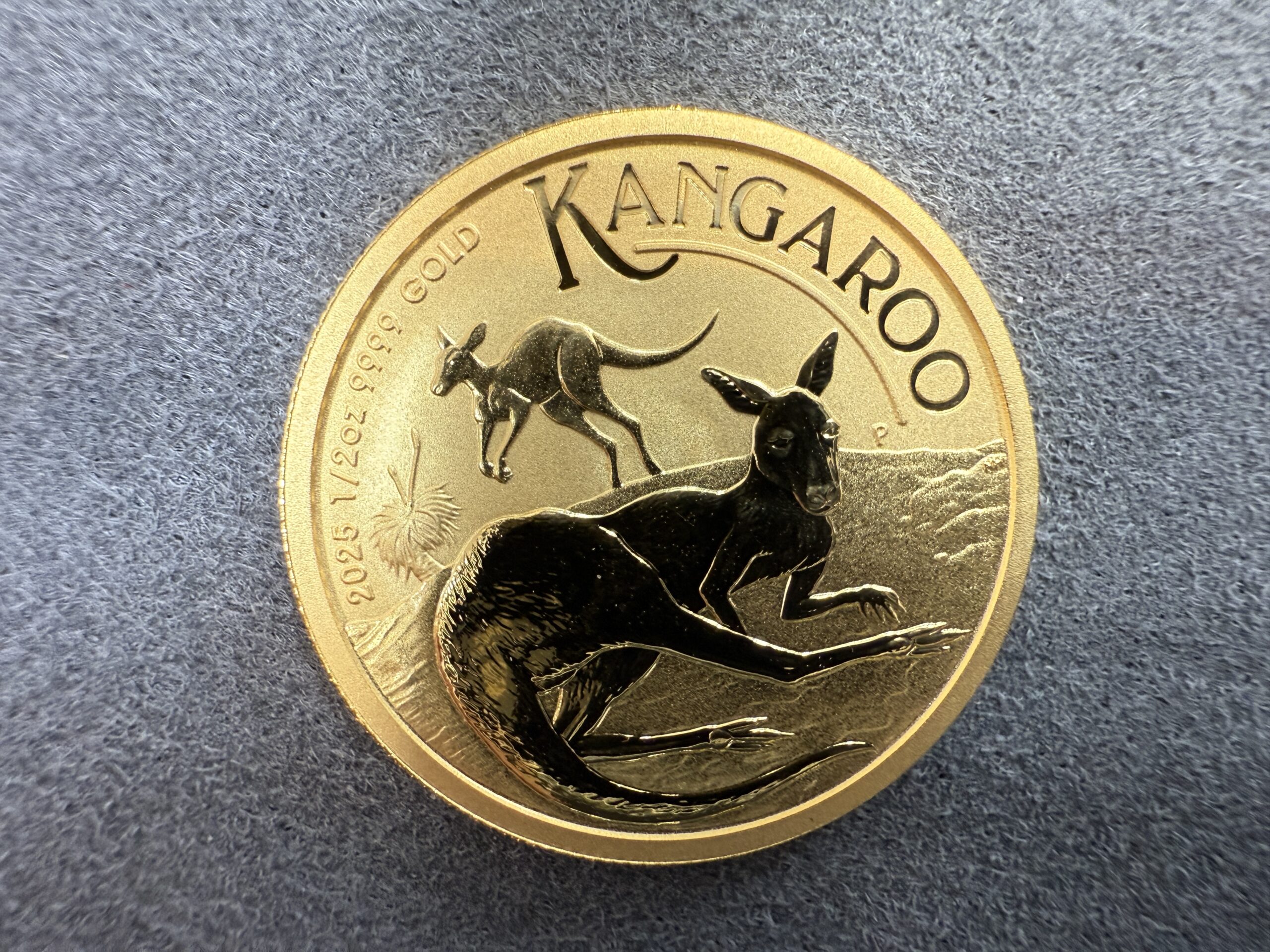 Australian Kangaroo 2025 1/2oz Gold Bullion Coin Perth Mint